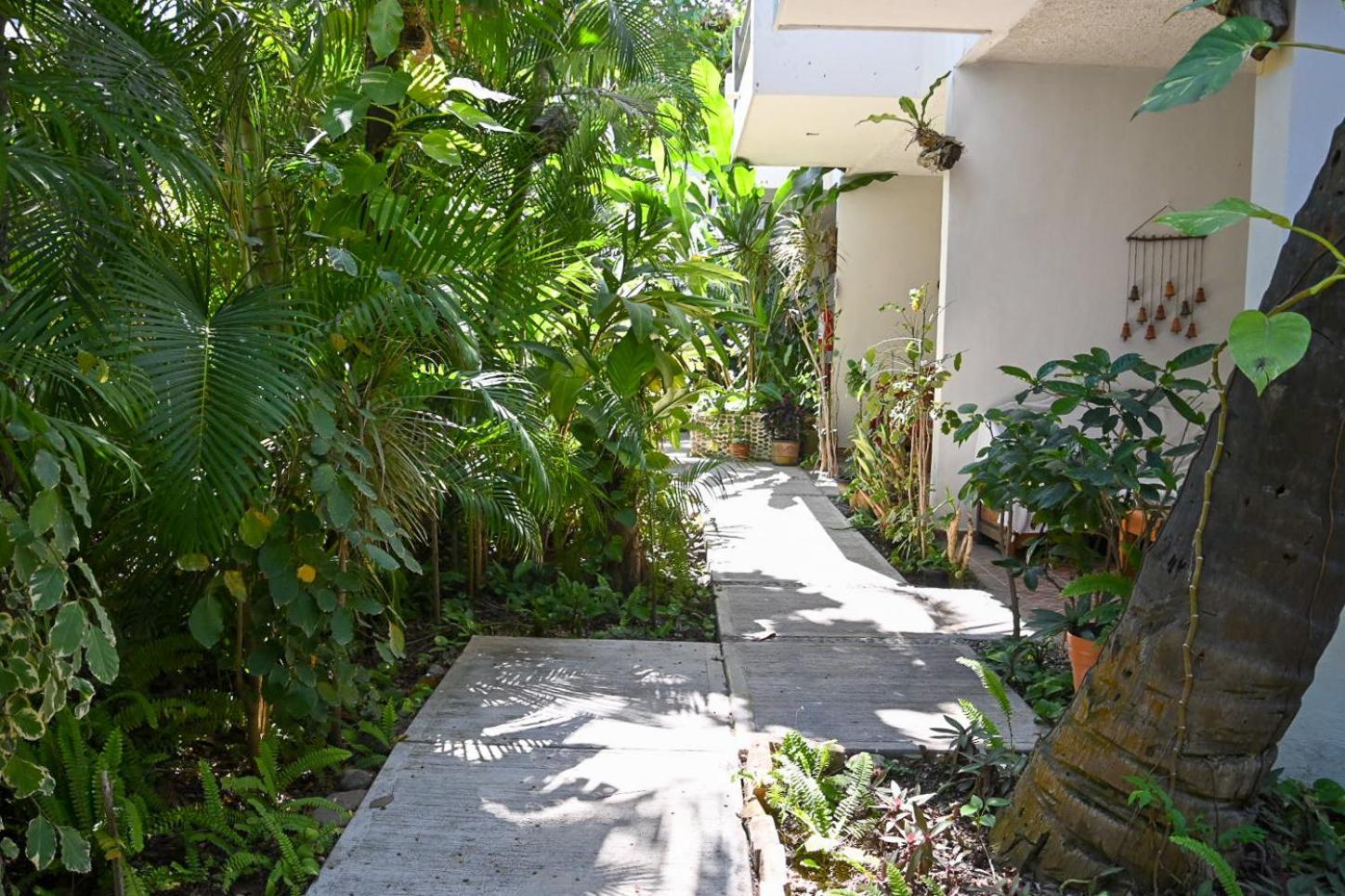Hotel Palmeras Bucerias Ngoại thất bức ảnh