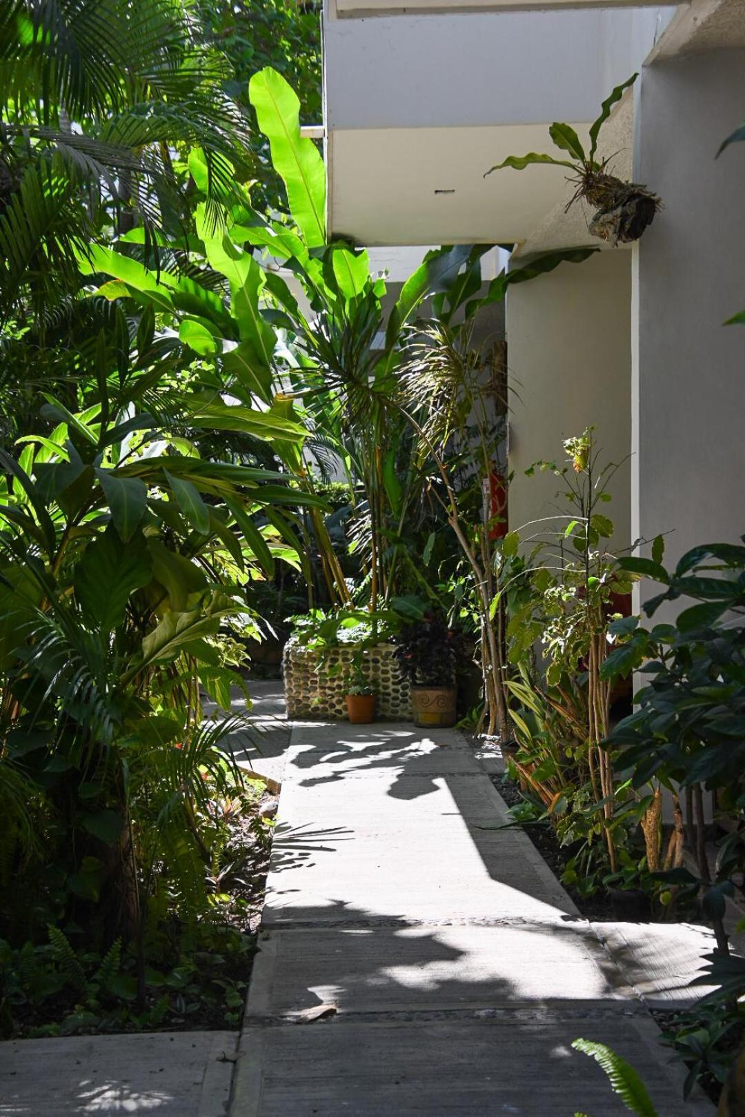 Hotel Palmeras Bucerias Ngoại thất bức ảnh