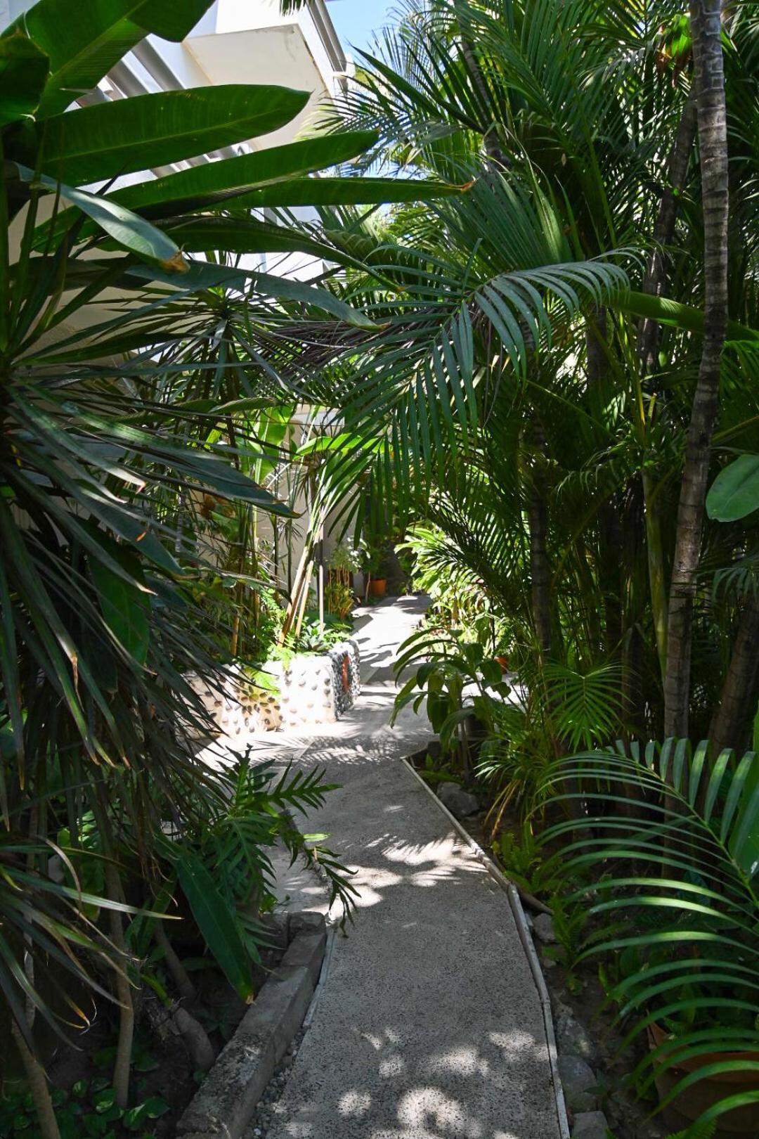 Hotel Palmeras Bucerias Ngoại thất bức ảnh